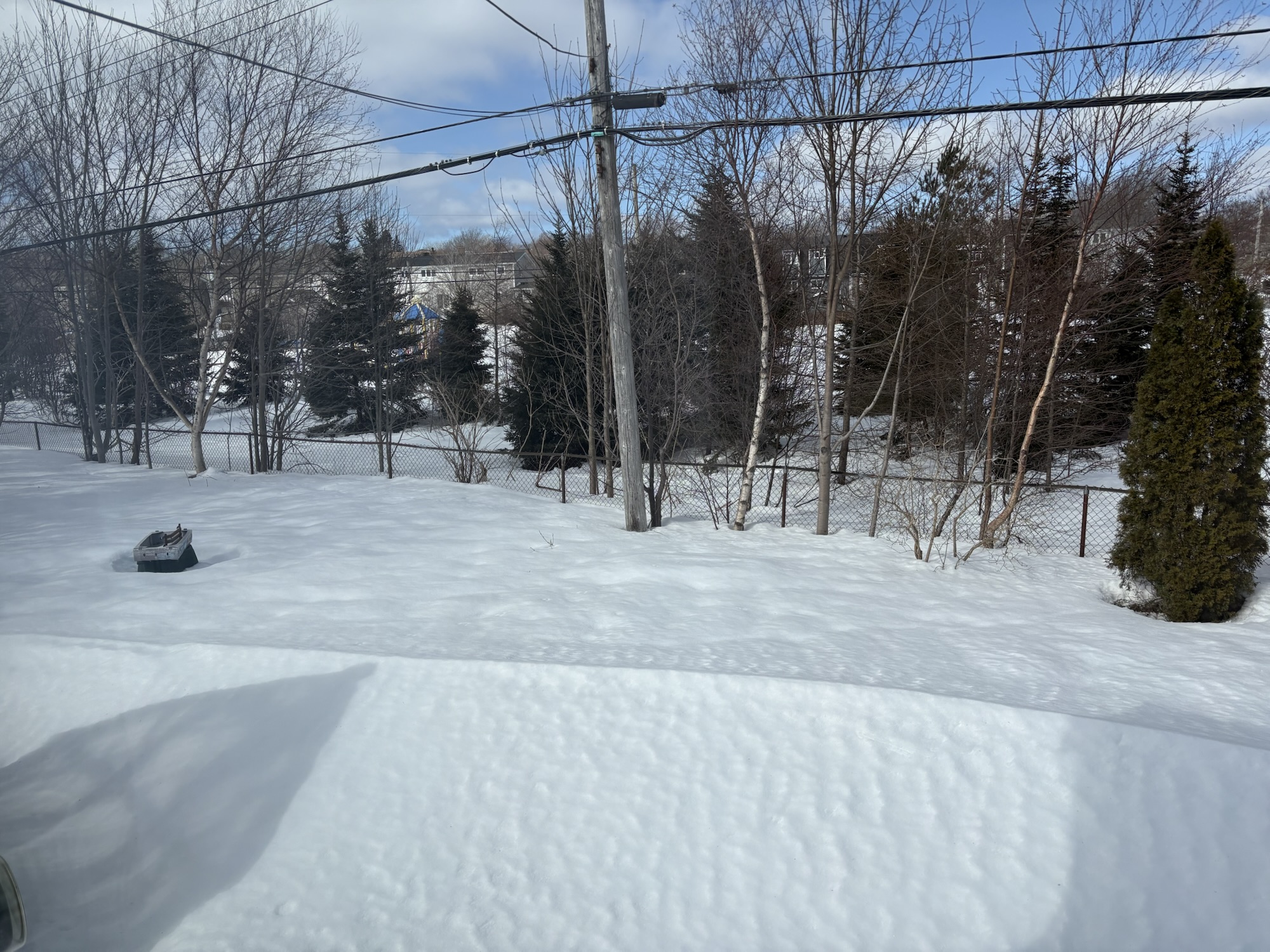 Winter blues shifting to spring greens - FIT IS A FEMINIST ISSUE